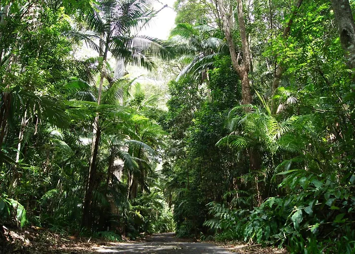 Villa: Songbirds Rainforest Retreat